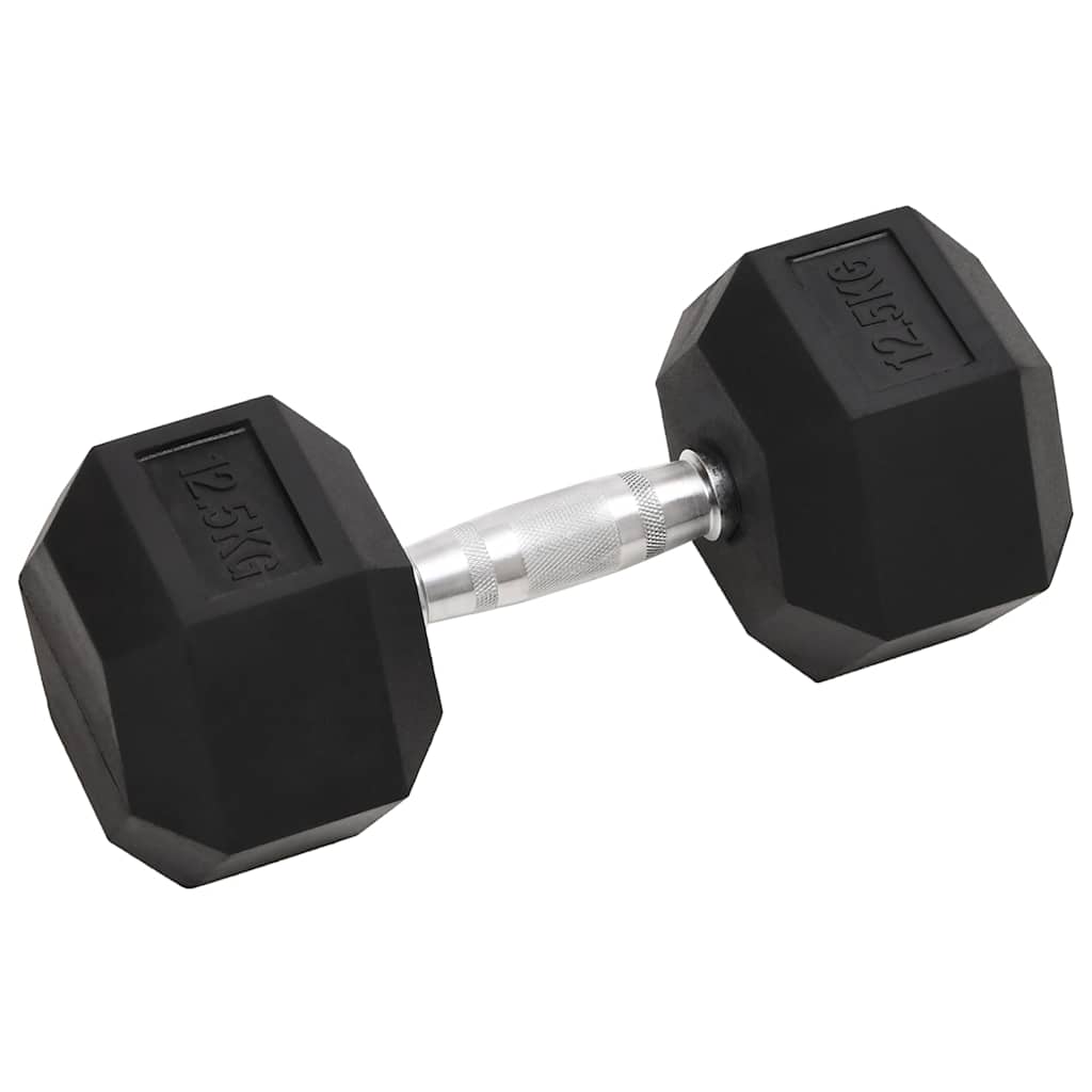 Vidaxl halters 2 st 25 kg totaal gietijzer