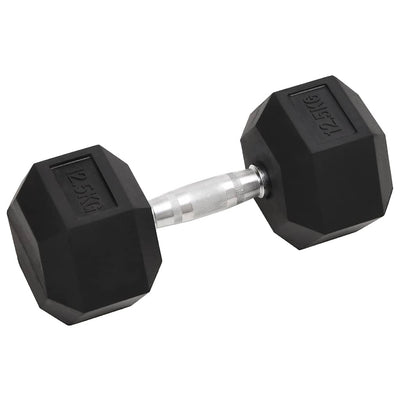 Vidaxl halters 2 st 25 kg totaal gietijzer