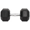 Vidaxl halters 2 st 25 kg totaal gietijzer