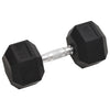 Vidaxl halters 17,5 kg gietijzer