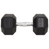 Vidaxl halters 17,5 kg gietijzer