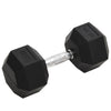 Vidaxl halters 22,5 kg gietijzer