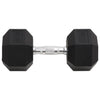Vidaxl halters 22,5 kg gietijzer