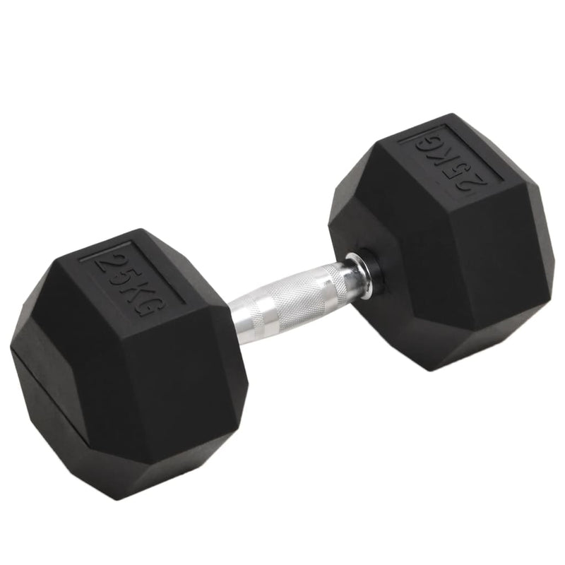 Vidaxl halters 25 kg gietijzer
