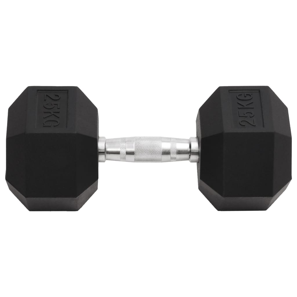 Vidaxl halters 25 kg gietijzer
