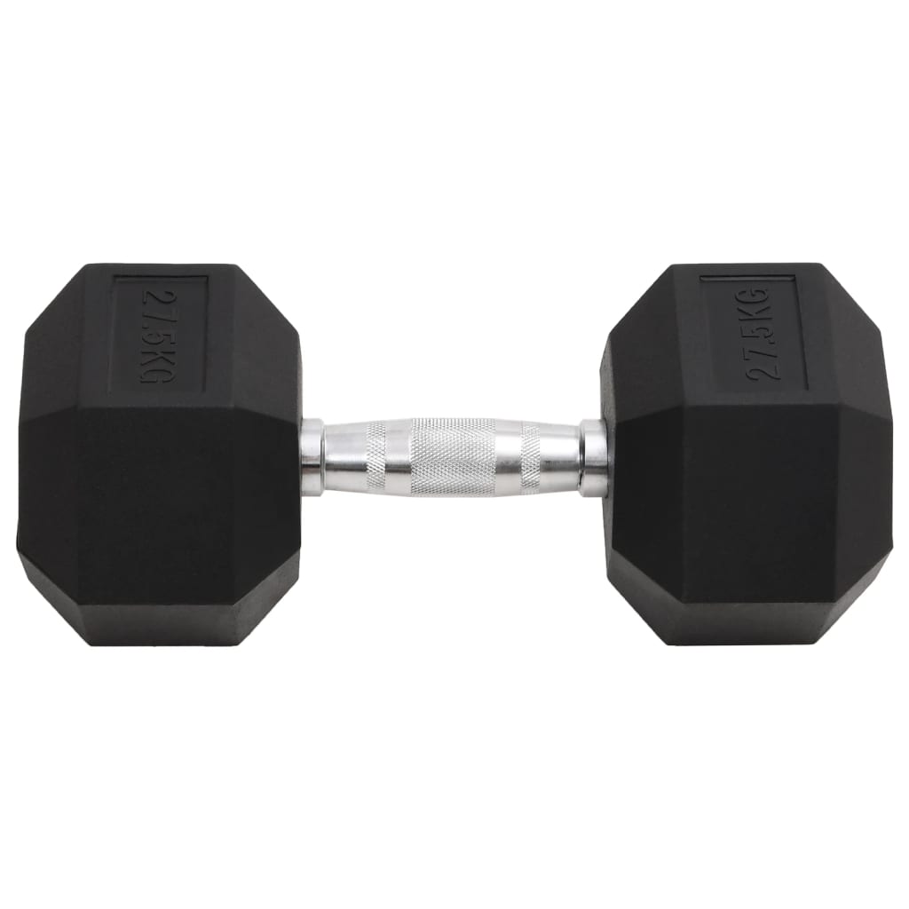 Vidaxl halters 27,5 kg gietijzer