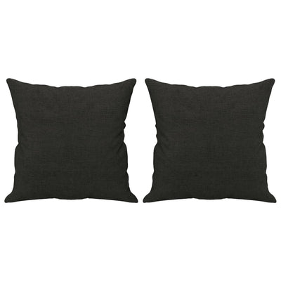 Vidaxl sierkussens 2 st 40x40 cm stof zwart