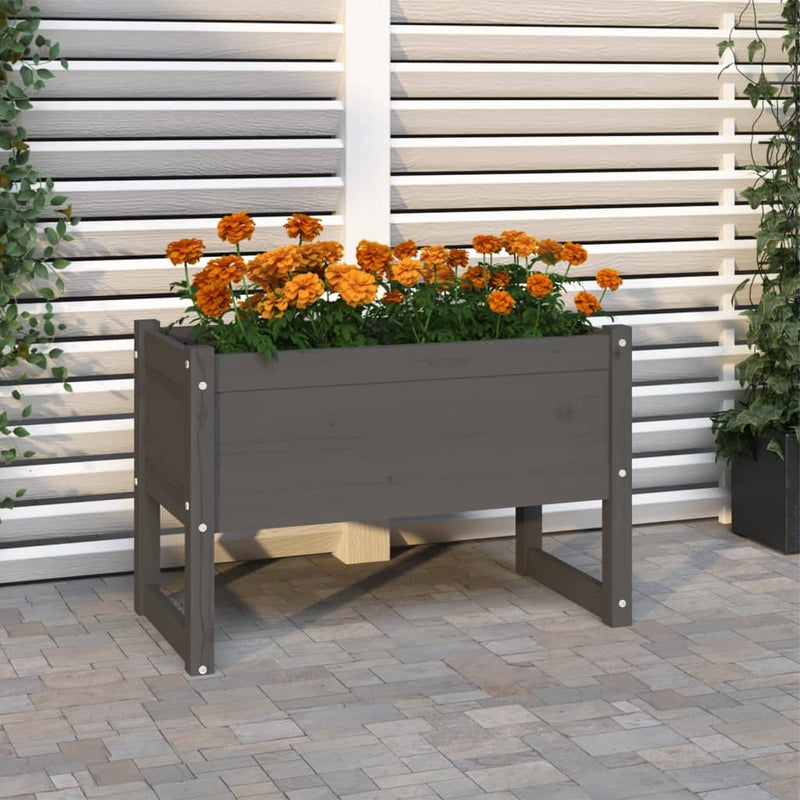Casella di pianificazione Vidaxl 78x40x52 cm Pine solido