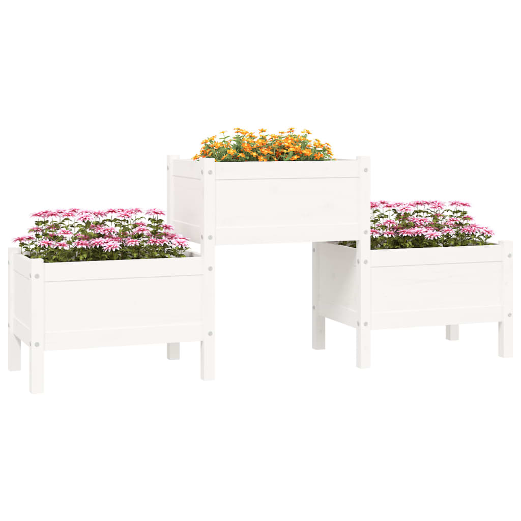 Vidaxl Planning Box 178.5x44x75 cm Pino sólido White