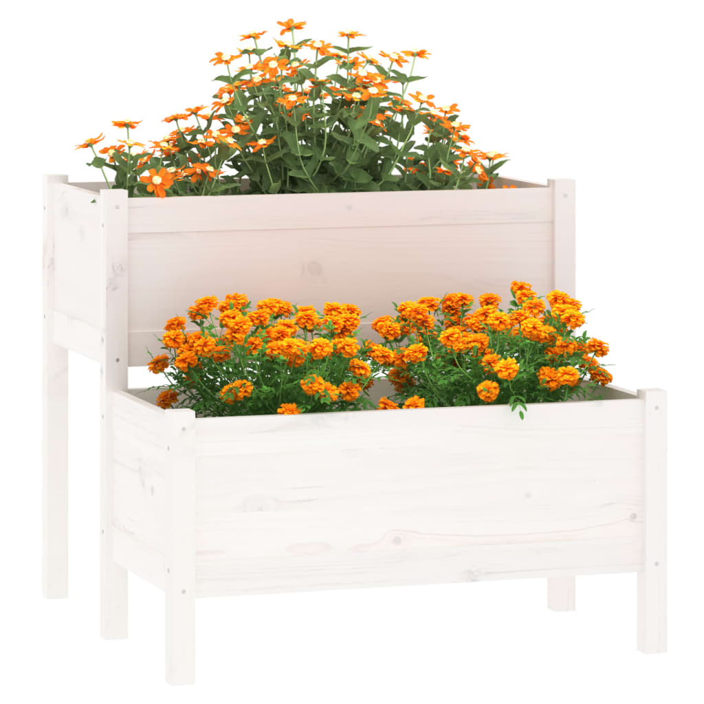 Vidaxl Planning Box 84.5x84x75 cm de pino sólido blanco