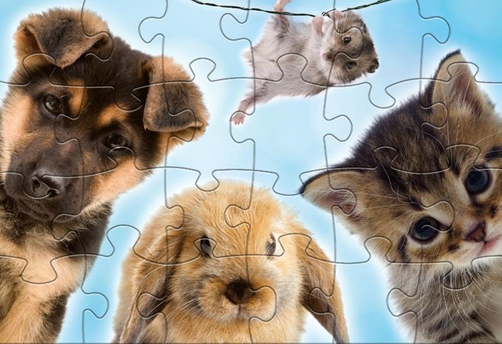 Rebo legpuzzel 2x24 stukjes - baby anima