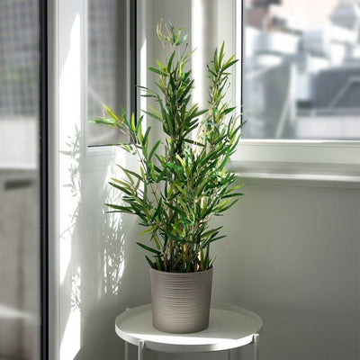 Pianta artificiale per la casa bambù 90 cm verde