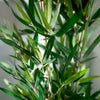 Home Styling planta artificial bambú 90 cm verde