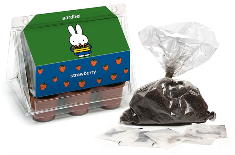 Miffy mini serra fragola.