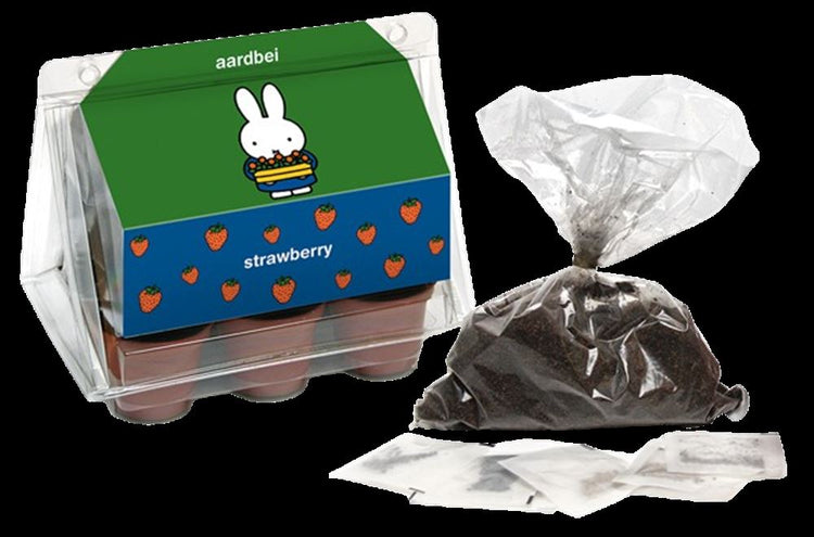 Miffy mini serra fragola.