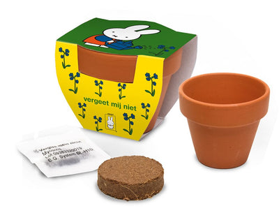 Nijntje vaso in terracotta non dimenticarmi.