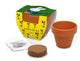 Nijntje vaso in terracotta non dimenticarmi.