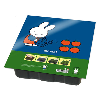 Kit per la coltivazione del pomodoro Miffy.