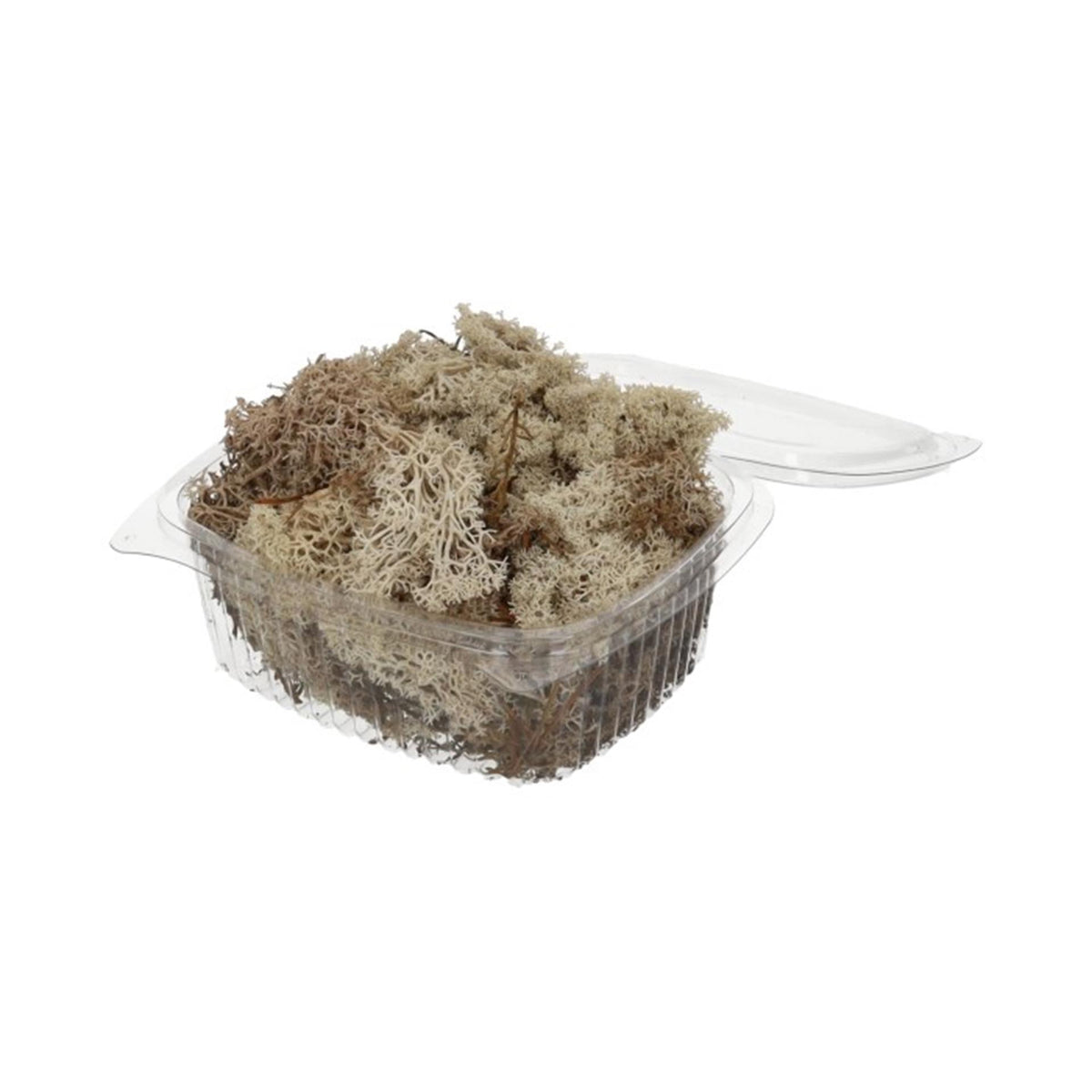 HBx natural living reindeer moss 50gr white