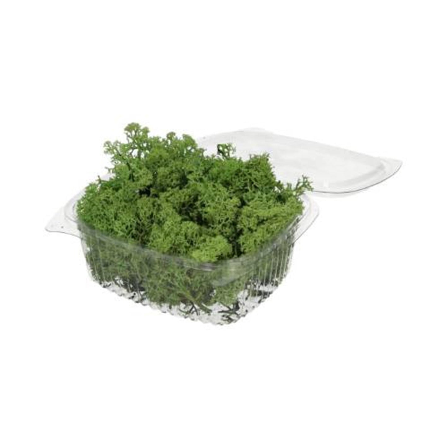 HBx musgo de reno natural living 50gr verde