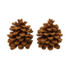 Hbx natural living geur dennenappels pinus pinea cinnamon