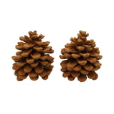Hbx natural living geur dennenappels pinus pinea cinnamon - afbeelding 1