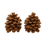 Hbx natural living scent pine cones pinus pinea cinnamon - afbeelding 1