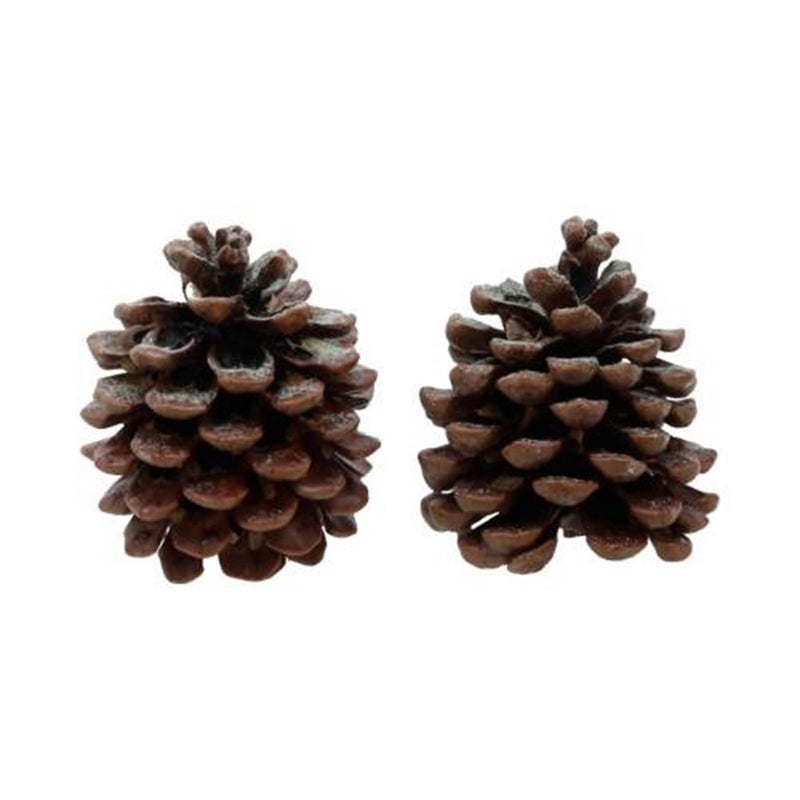 HBx Natural Living Profumo Pigne Pino 2 Pezzi