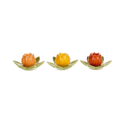 Hbx candeliere vivente naturale tulipano 10x9x5cm