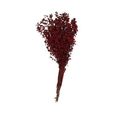 HBx bacche di peperone essiccate naturali viventi rosso vino