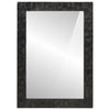 Vidaxl Specchio da bagno 50x70x2.5 cm Legno di mango solido e vetro nero