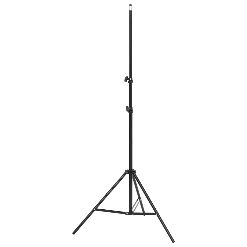 Vidaxl Photo Studio Set con set di luce, schermo di sfondo e riflettore