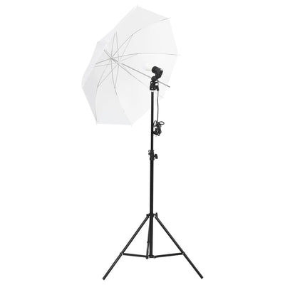 Vidaxl Photo Studio Conjunto con fondo de iluminación y reflector