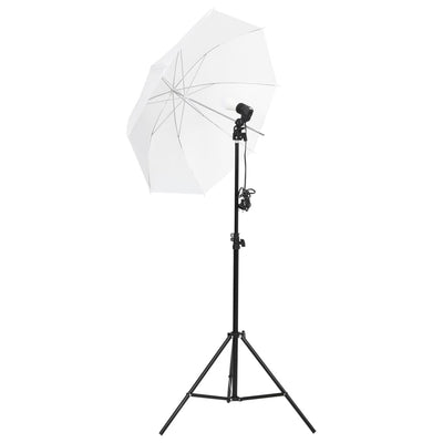 Vidaxl Photo Studio Conjunto con fondo de iluminación y reflector