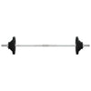 Vidaxl Halter con pesi 60 kg di ghisa