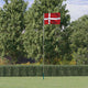 Flag Vidaxl con flagpole Danimarca 5,55 m Aluminio