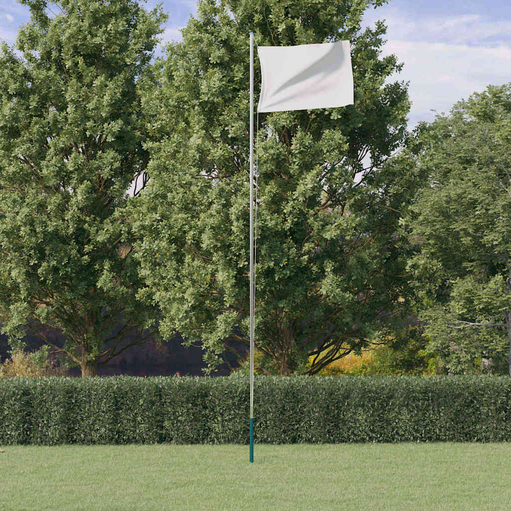 Vidaxl Flagpole divisibile 6,23 m in argento in alluminio