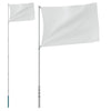 Vidaxl Flagpole Telescopico 5,55 m in argento in alluminio colorato