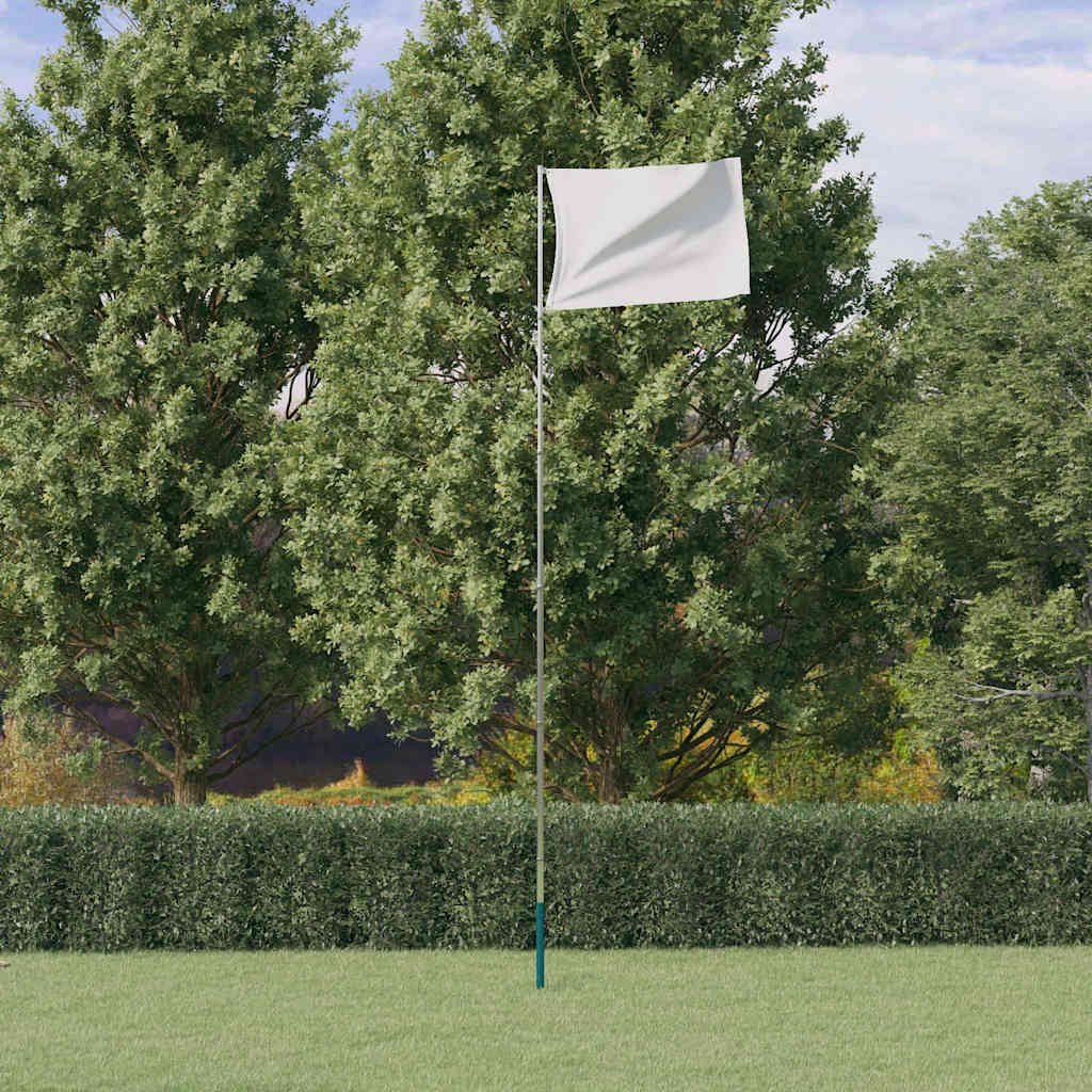 Vidaxl Flagpole Telescopico 5,55 m in argento in alluminio colorato