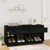 Vidaxl Cabinet da scarpe 110x34x52 cm Pinna solido nero