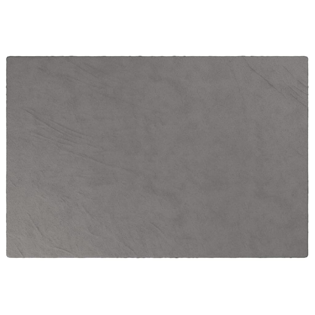 Vidaxl verzwaringsdeken met hoes 120x180 cm 5 kg stof grijs