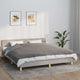 VIDAXL Coperta debole con copertina 155x220 cm 11 kg di tessuto grigio
