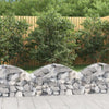 Vidaxl Schanskorf abovedado 100x30x40 60 cm de hierro galvanizado