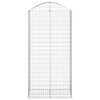 Vidaxl Schanskorf abovedado 100x50x200 220 cm de hierro galvanizado