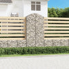 Vidaxl Schanskorf a volta 100x50x200 220 cm galvanizzato