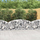 Vidaxl Schanskorf a volta 200x30x60 80 cm galvanizzato