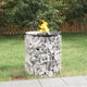 VIDAXL SCHANSKORF CIRNORE Ø 50 cm Galvanizzato