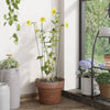 Vidaxl Plant Stakes 20 St 40 cm in acciaio scuro verde