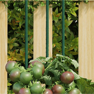 Vidaxl Plant Stakes 30 St 60 cm in acciaio verde