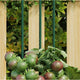 Vidaxl Plant Stakes 30 St 90 cm in acciaio verde